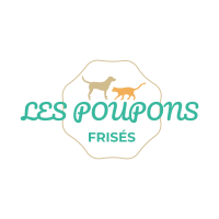 logo les poupons frisés